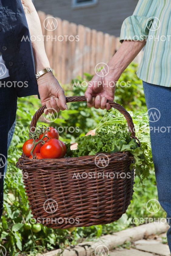Women holding basket filled with vegetables