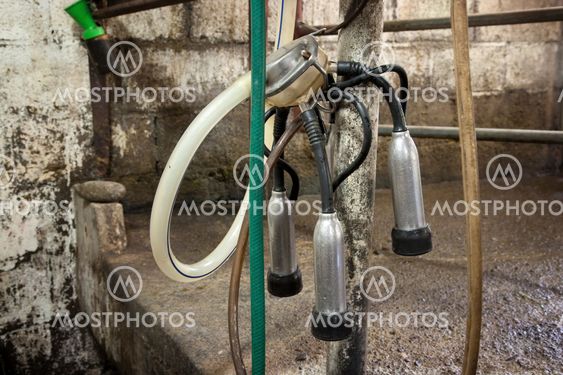 Milking Machine