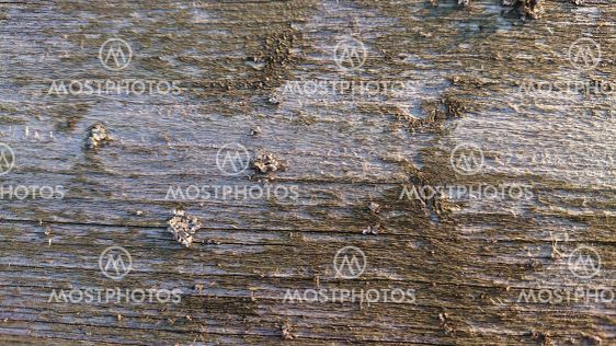 Grayish wood