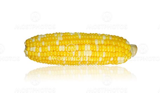 Corn Cob
