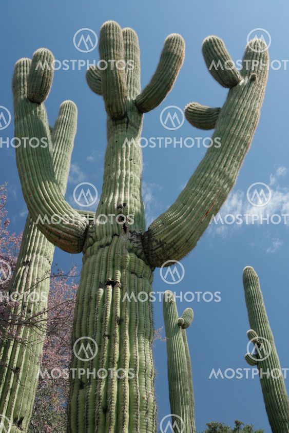Reaching For Space