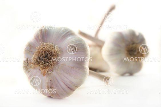 Garlic