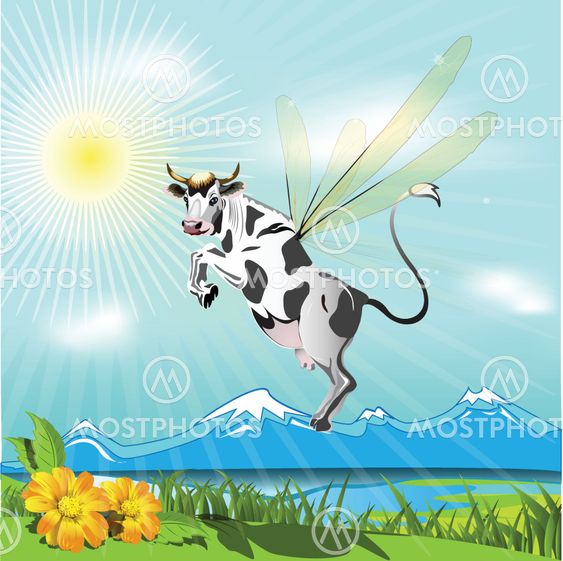cow2
