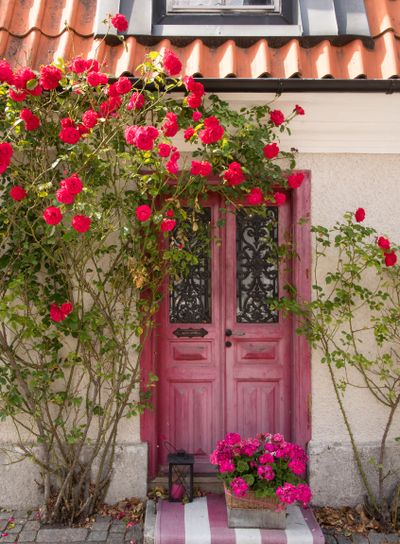 Entrance with roses