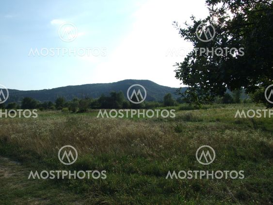Field at Costesti, Romania