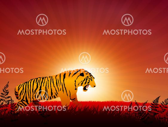 tiger on sunset internet background