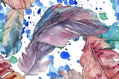 Colorful bird feather from wing isolated. Watercolor...