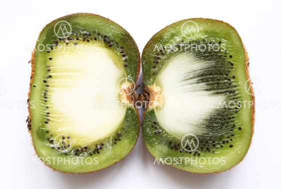 Kiwi fruit on a white background