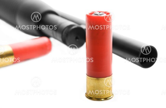 Shotgun ammo