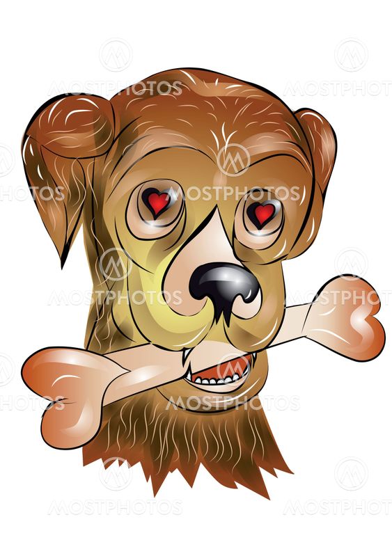 enamored dog