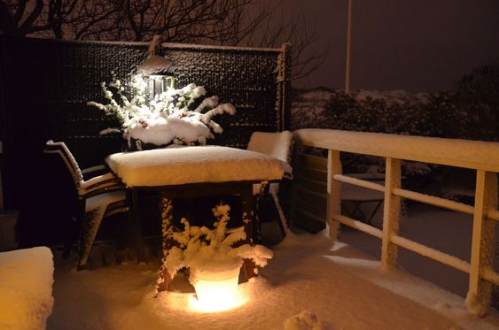 Winter Table