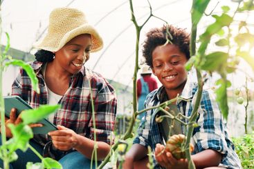 Gardening, mother and boy with vegetables, help and...