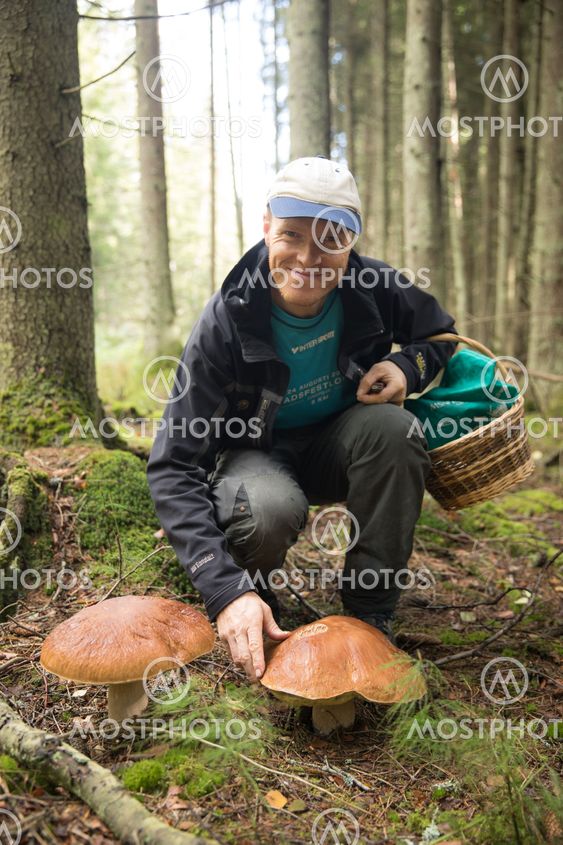 man hittar stora svampar