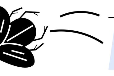 Fly in motion moving towards a shopping bag concept for...