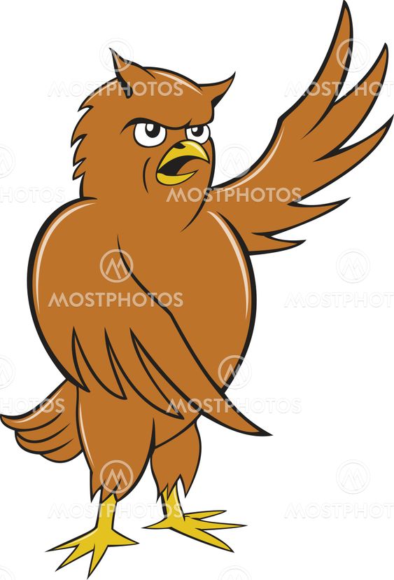 Owl Standing Pointing Wing Cartoon