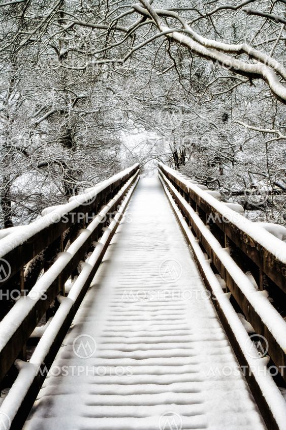 Snowcovered walkway Nidd Gorge