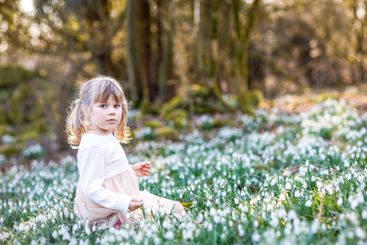 Little pretty toddler girl in a field of snowdrops. A...