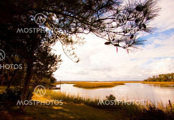 Marsh and Sky 2