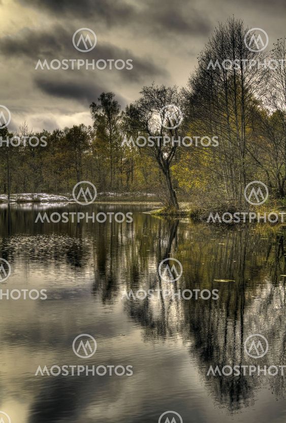 Forest lake with reflections.