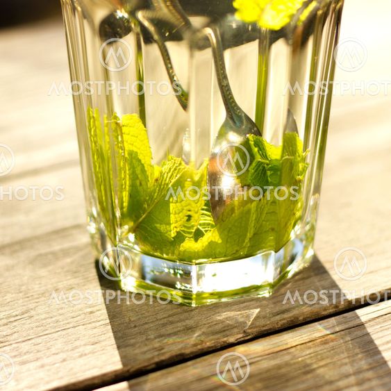 Close up of a glass of tea with a fresh peppermint