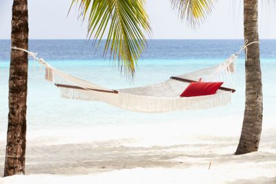 Empty Hammock Between Palm Trees