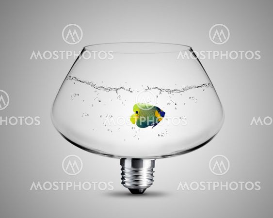 light bulb concept