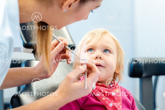 Dentist explaining treatment to a child using a plush toy