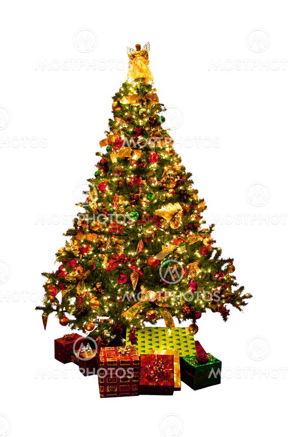 Isolated Christmas tree