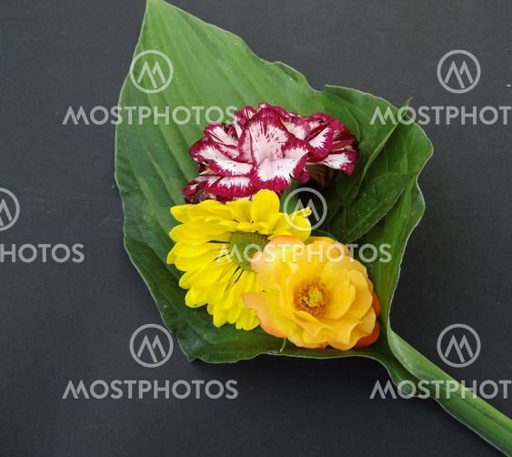 Arrangement of flowers