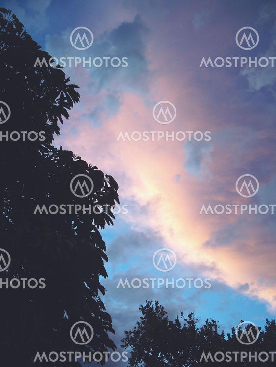Trees are present