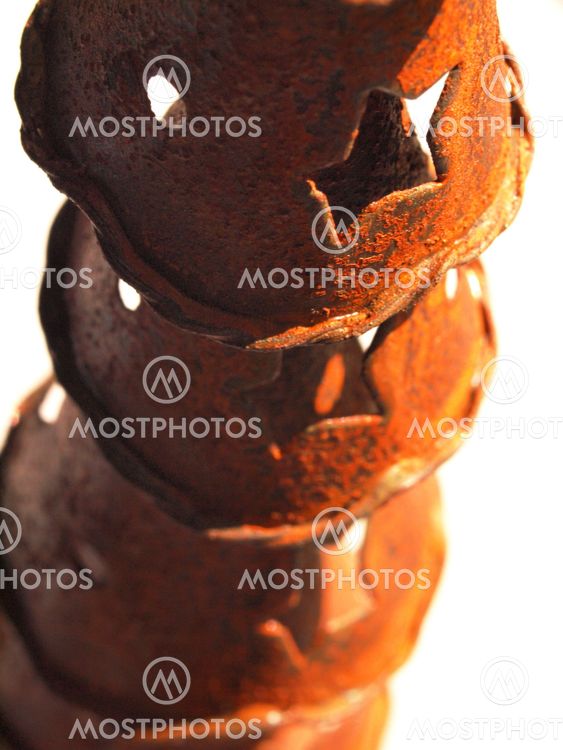 Oh Rusty Tree