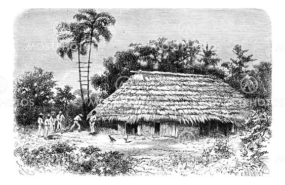 Typical Dwelling in the Town of Cuembi in Amazonas, Brazil, vintage engraving