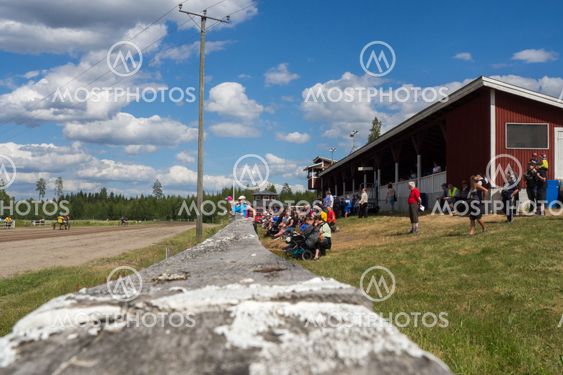 Hevonen