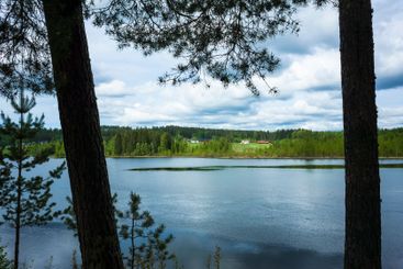 Scandinavia landscape, Lake Västra Kilen, View of a green 