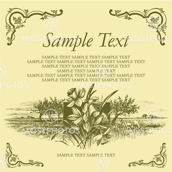 antique card engraving (vector)