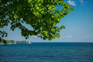 Vy mot hamnen i Hjo sett från strandpromenaden