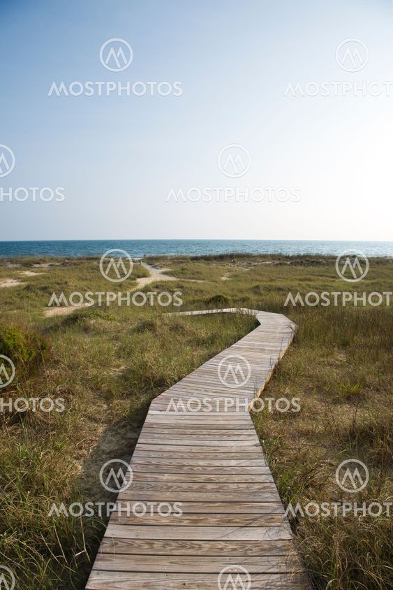 Path to beach.