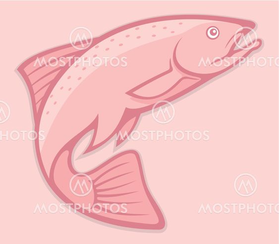Salmon lineart