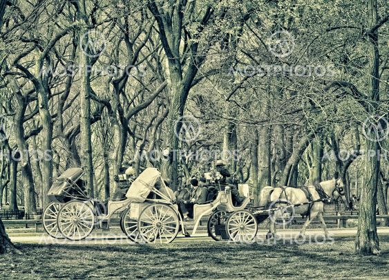 Central Park, New York.