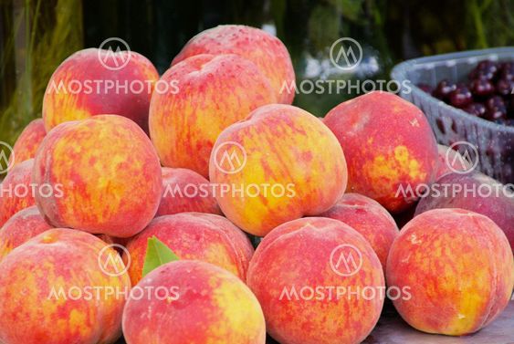 Pfirsich - peach 04