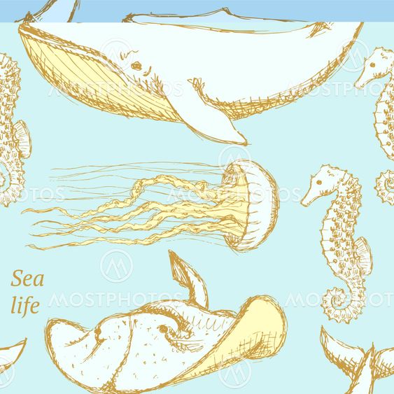Sketch sea creatures in vintage style