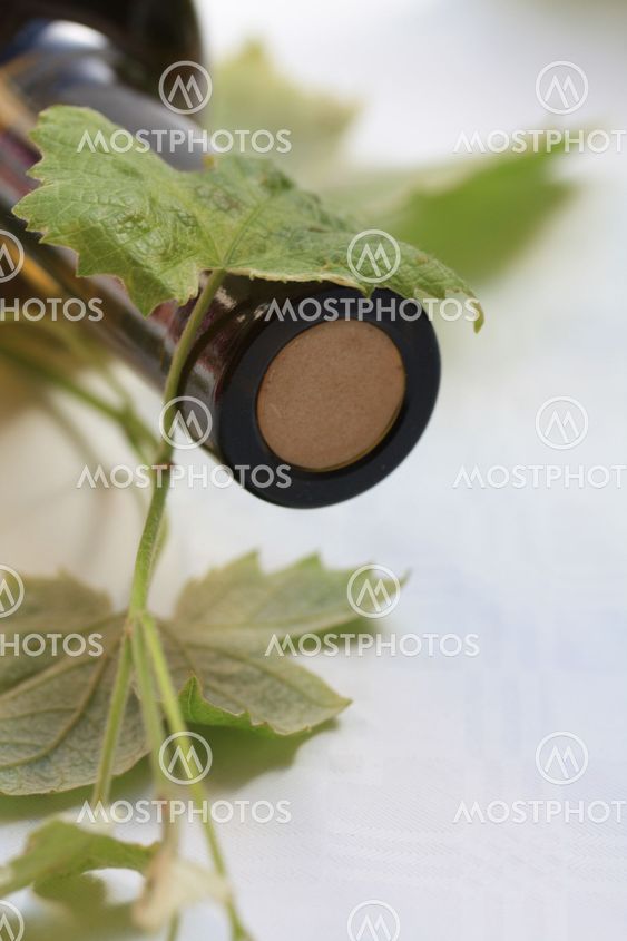 Grape vines over a wine bottle