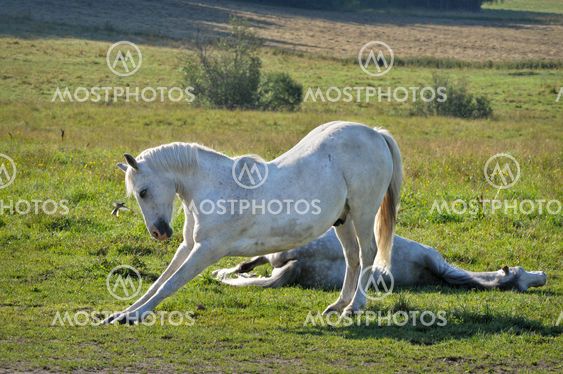streching