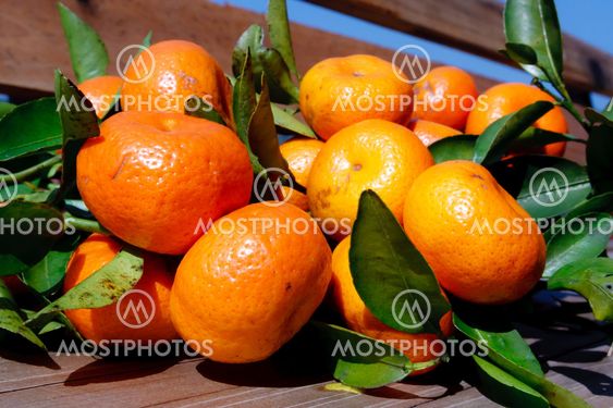 Orange fruits and green leaves