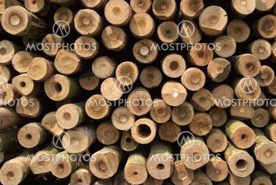 A pile of wood.