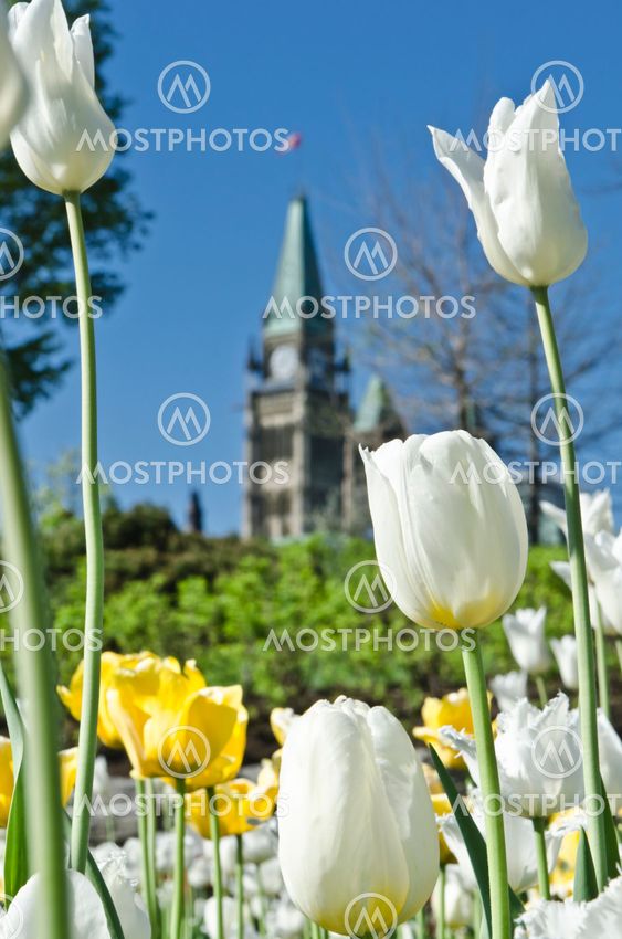 Focus on Spring