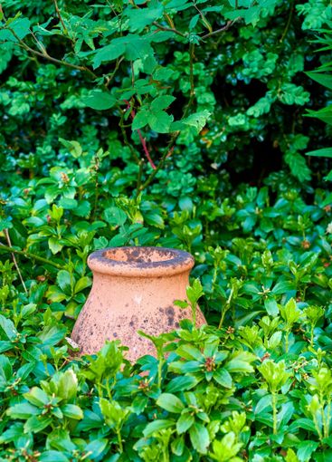 Garden, jar and pot with leaves for natural botany, eco...