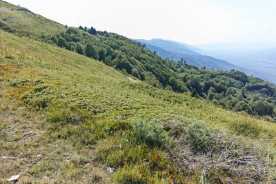 Summer landscape of Belasitsa Mountain, Bulgaria