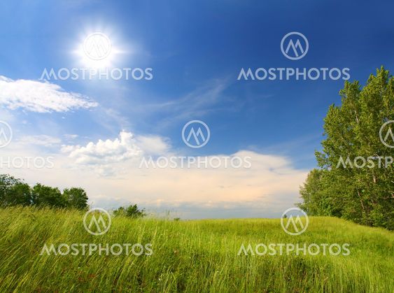 grass and wind blowing