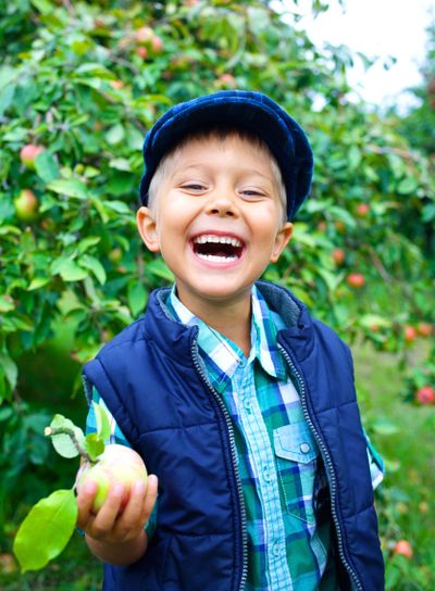 Cute boy in apple orchard